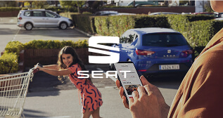 SEAT service image